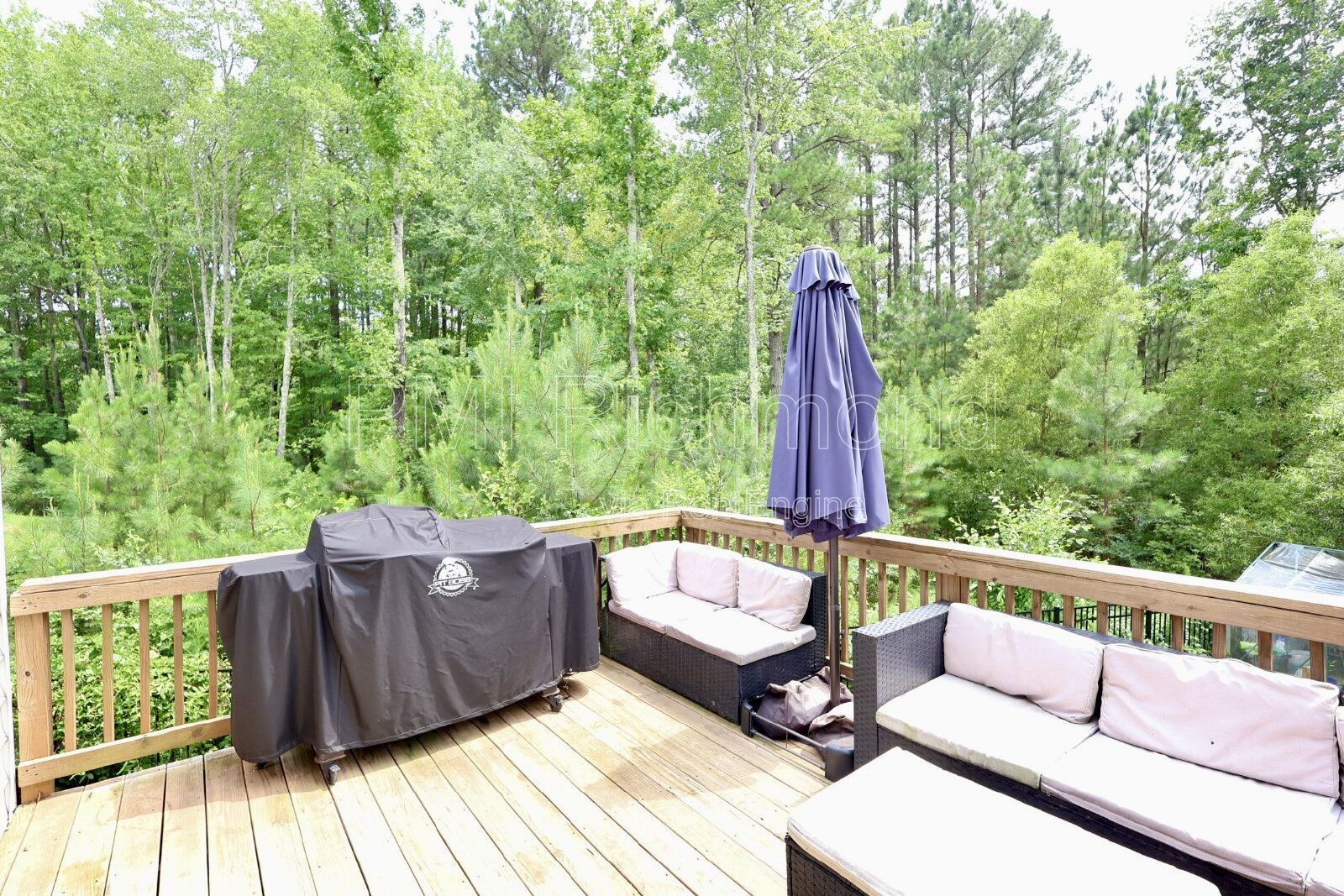 Stunning 5-Bed, 4-Bath Home in Moseley, VA! property image