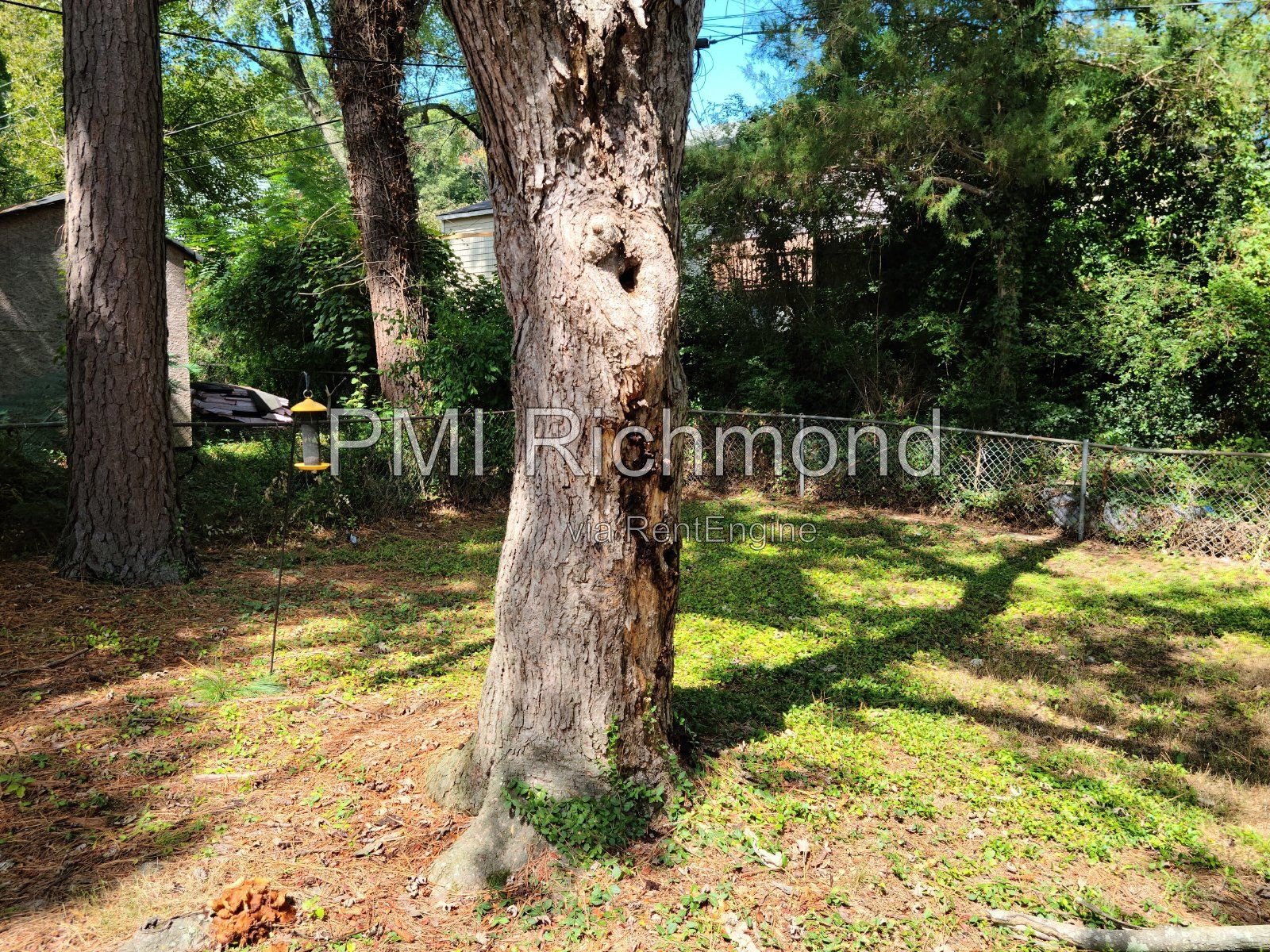 Perfect 3-Bedroom Home in Henrico! property image
