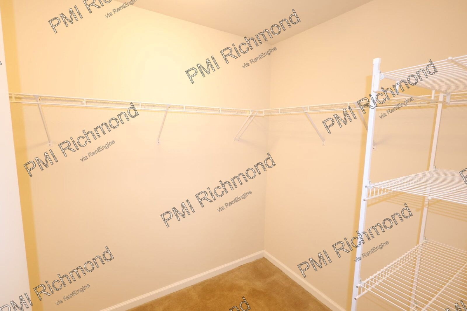 Gorgeous 4-Bed Home with Gleaming Hardwood Floors in Moseley! property image