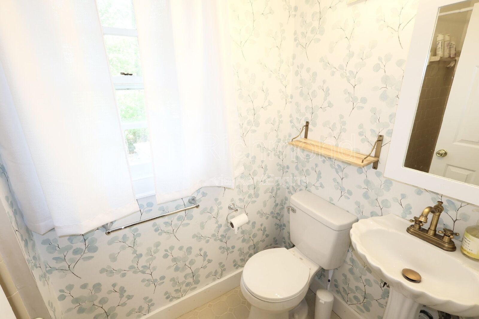 Beautifully Designed 3-Bed Home with the Perfect Backyard in Henrico! property image