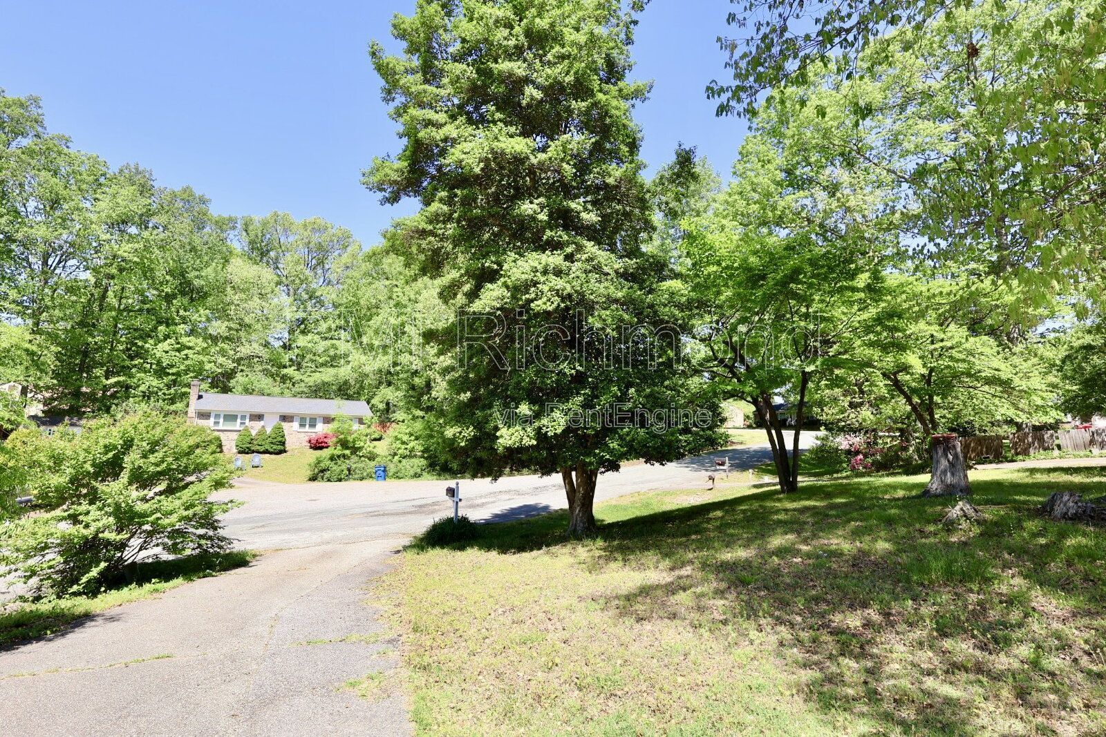 Cute 3-Bed Ranch with a Screened in Porch in Chesterfield! property image