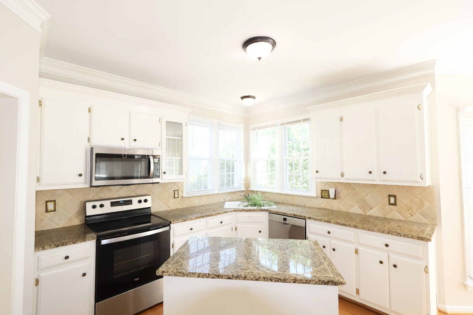 Beautiful 4-Bed Home in the Subdivision of Manor Park at Wyndhm in Glen Allen! property image